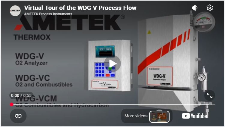 Process Controls Corporation - AMETEK Process Instruments WDG-V Combustion & Flue Gas Oxygen Analyzer Video Screen