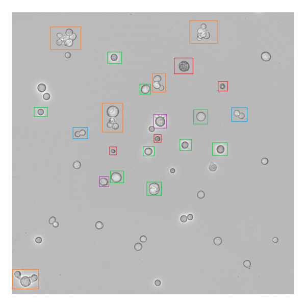 Process Controls Corporation - Canty Process Technology Cell Analysis System