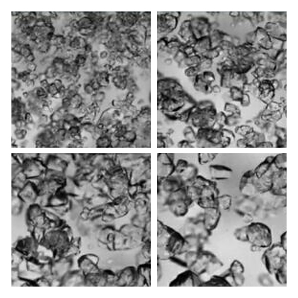 Process Controls Corporation - Canty Process Technology Sugar Particle Size and Shape Analysis (PSSA) System